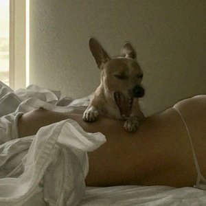 Kristen Styuart Nude