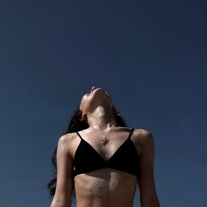 Dina Saeva Nude